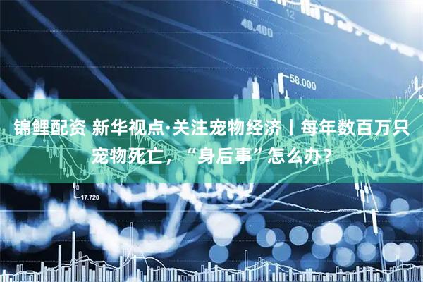 锦鲤配资 新华视点·关注宠物经济丨每年数百万只宠物死亡，“身后事”怎么办？