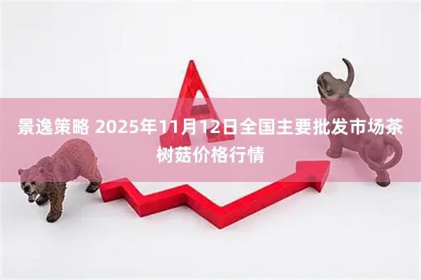 景逸策略 2025年11月12日全国主要批发市场茶树菇价格行情