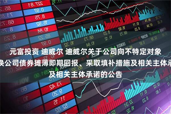 元富投资 迪威尔 迪威尔关于公司向不特定对象发行可转换公司债券摊薄即期回报、采取填补措施及相关主体承诺的公告